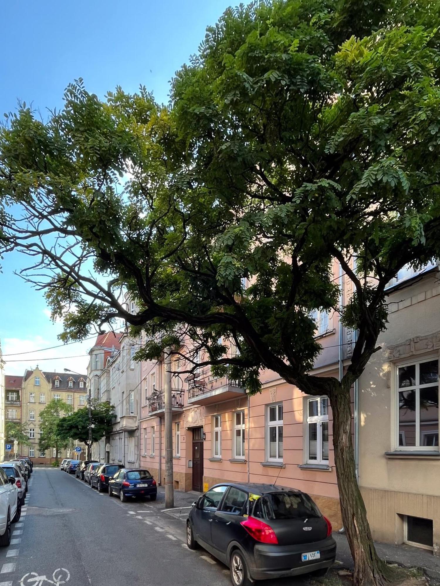 Apartament Dlugosza 3 - Jak W Domu - Idealny Na Dlugie Pobyty I Weekendy Bydgoszcz Luaran gambar